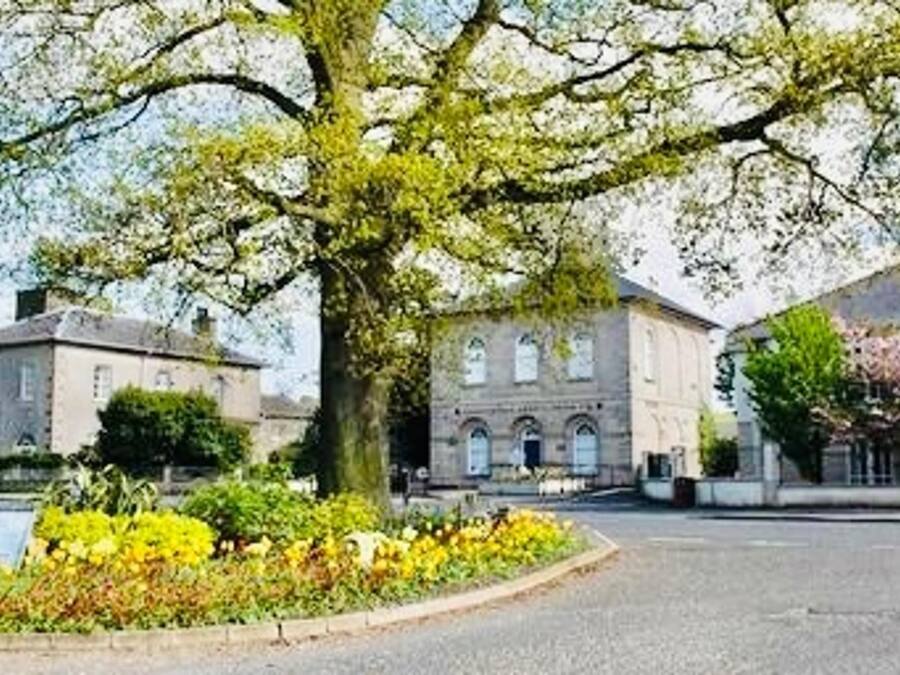 A street view with a large tree, flower beds, and buildings.