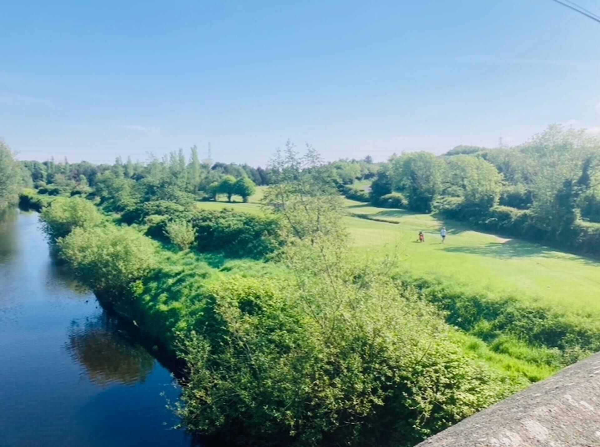 A river with dense greenery and trees, a grassy area with people, and a clear sky.