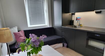 Studio Sleeps 2 Sollentuna Centre