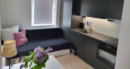 Studio Sleeps 2 Sollentuna Centre