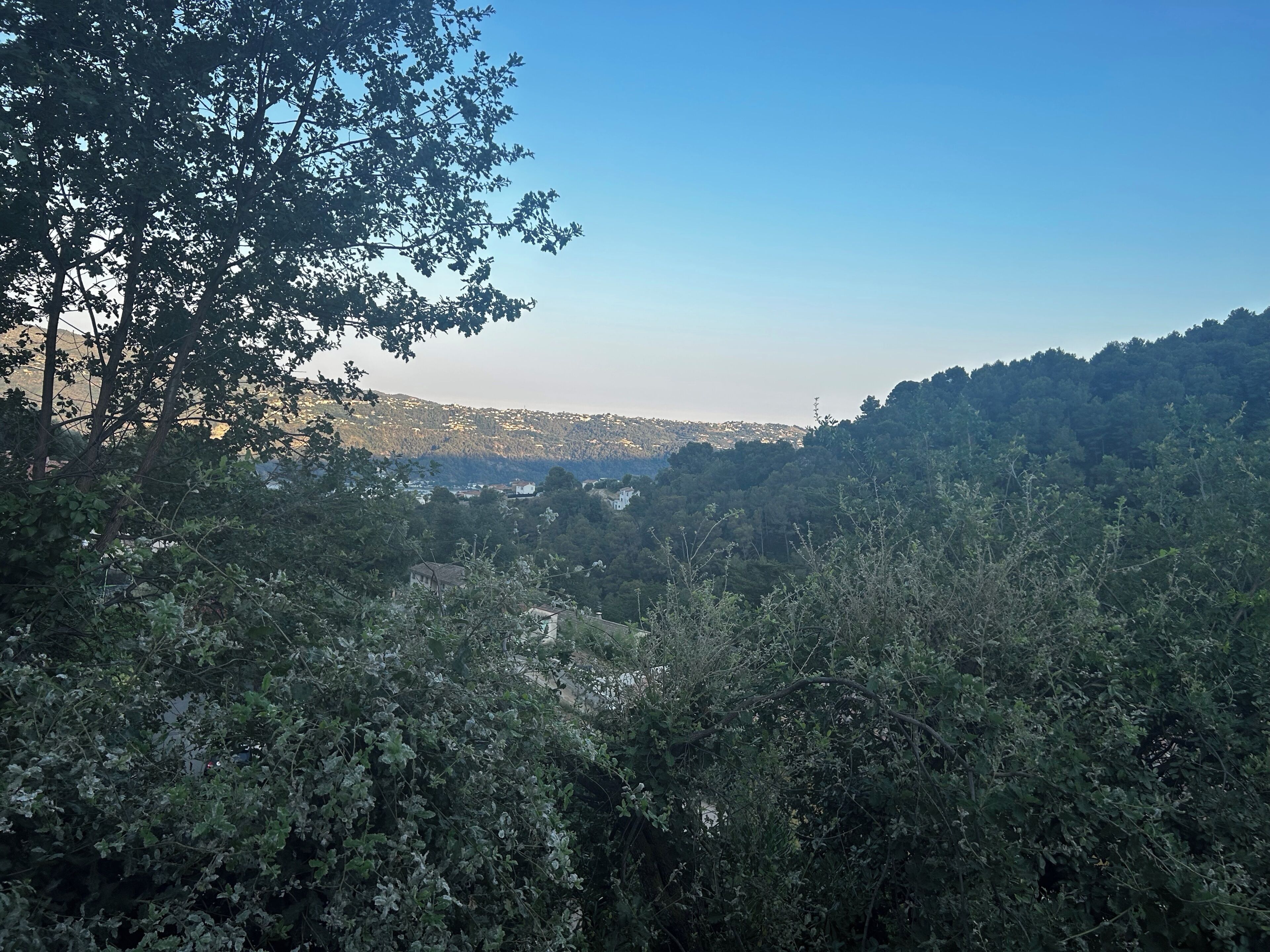 A dense forested area with a distant view of a town.
