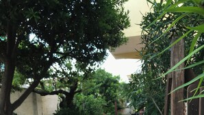 Un sendero de ladrillo bordeado de vegetación y una valla de madera.