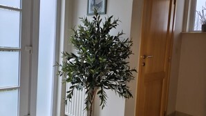 Una planta en maceta sobre un pedestal de madera en un pasillo con una puerta y un radiador.