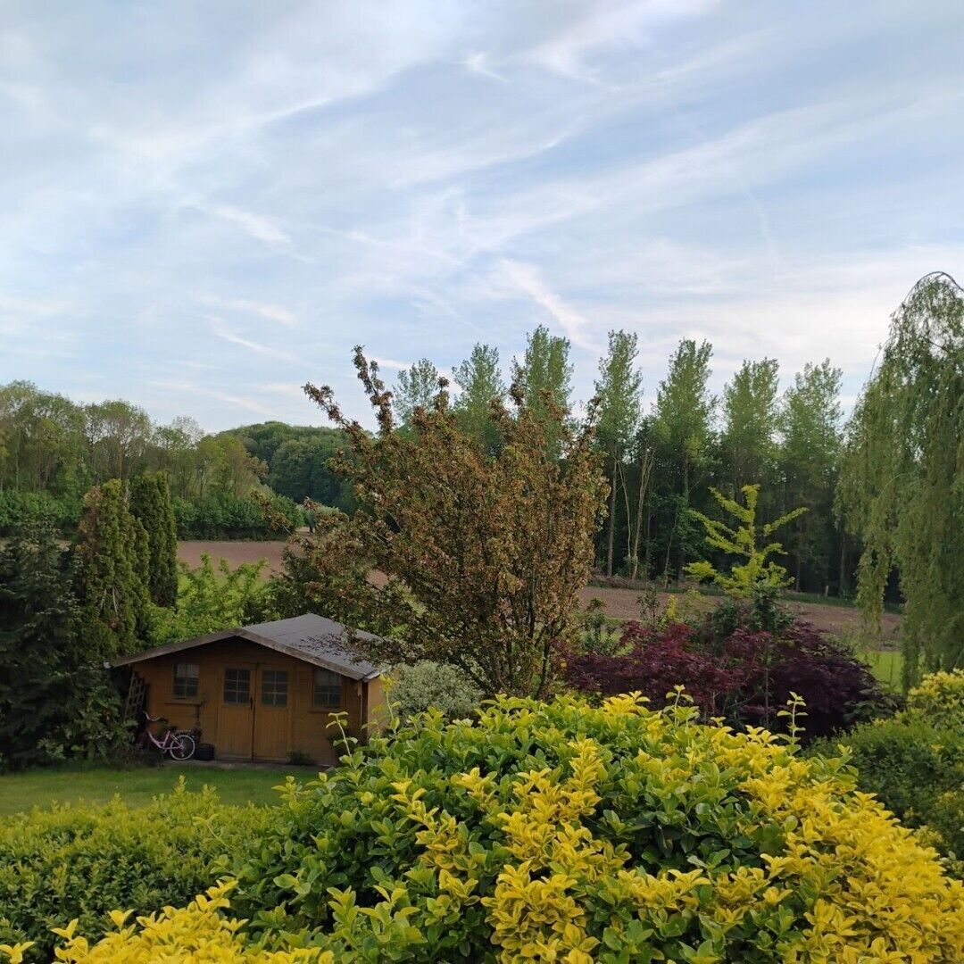 A wooden cabin with a bicycle, surrounded by lush greenery and trees.