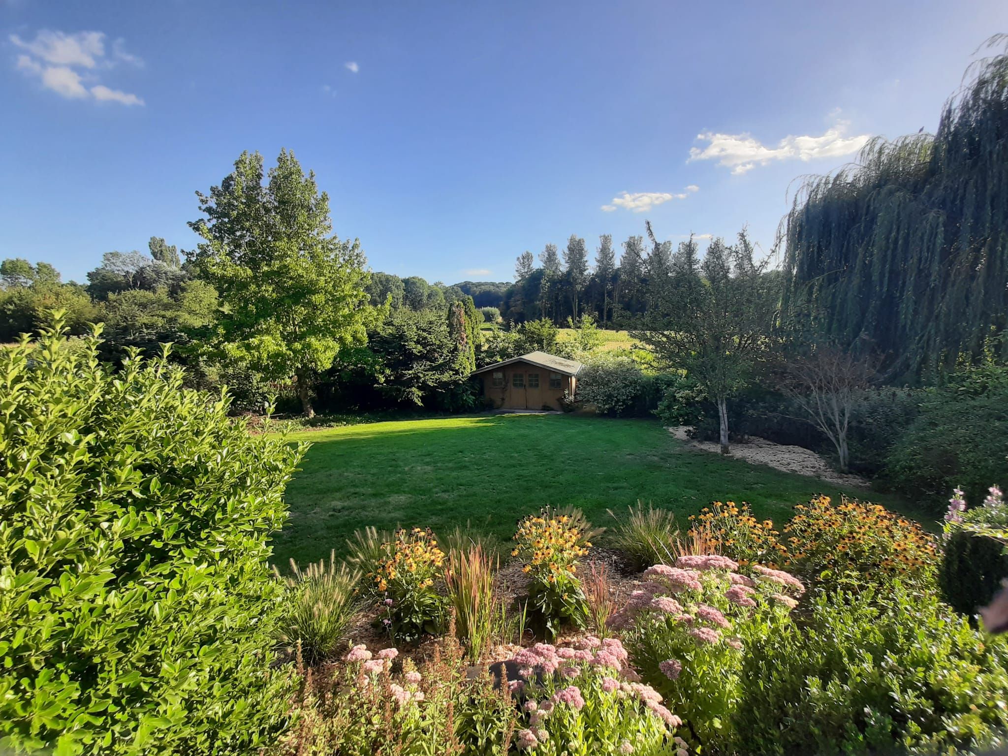 A well-maintained garden with a variety of plants and flowers, a lawn, and a small building in the background.