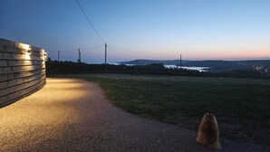 Un chemin de gravier mène à un bâtiment à la façade incurvée, des lignes électriques passent au-dessus, et il y a une zone herbeuse où se trouve un chien.