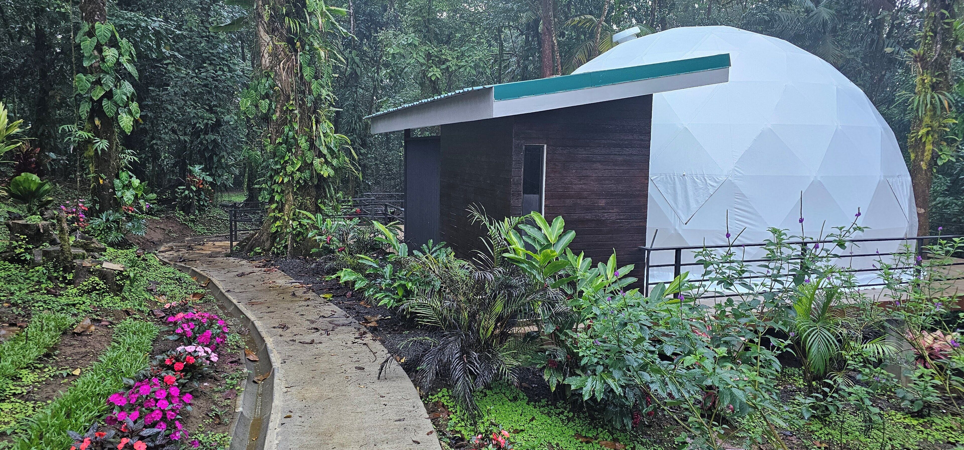 A dome-shaped structure with a wooden exterior and a green roof, surrounded by lush greenery and a concrete pathway.