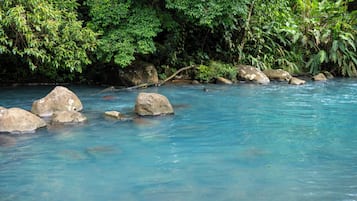 Une rivière à l’eau claire et aux rochers.