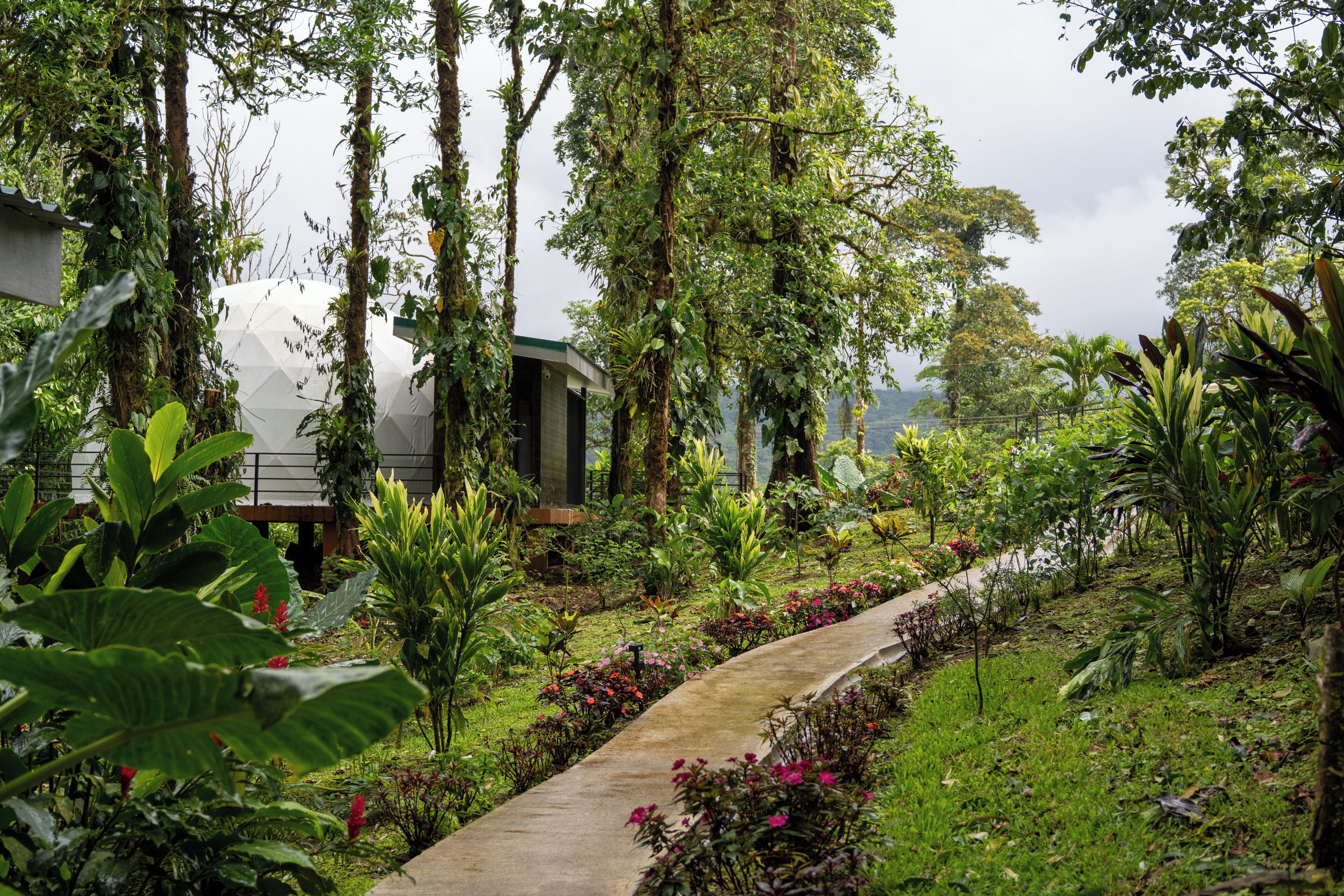 A pathway through a lush garden with various plants and trees, leading to a building with a modern design.