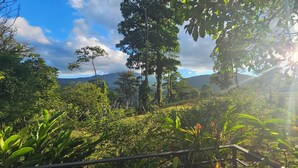 Un exuberante jardín con diversas plantas y árboles, una cerca de madera y una cadena montañosa distante bajo un cielo despejado.
