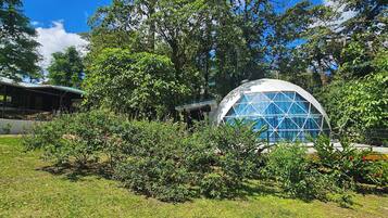 Family Tent, Multiple Beds, Mountain View | Exterior