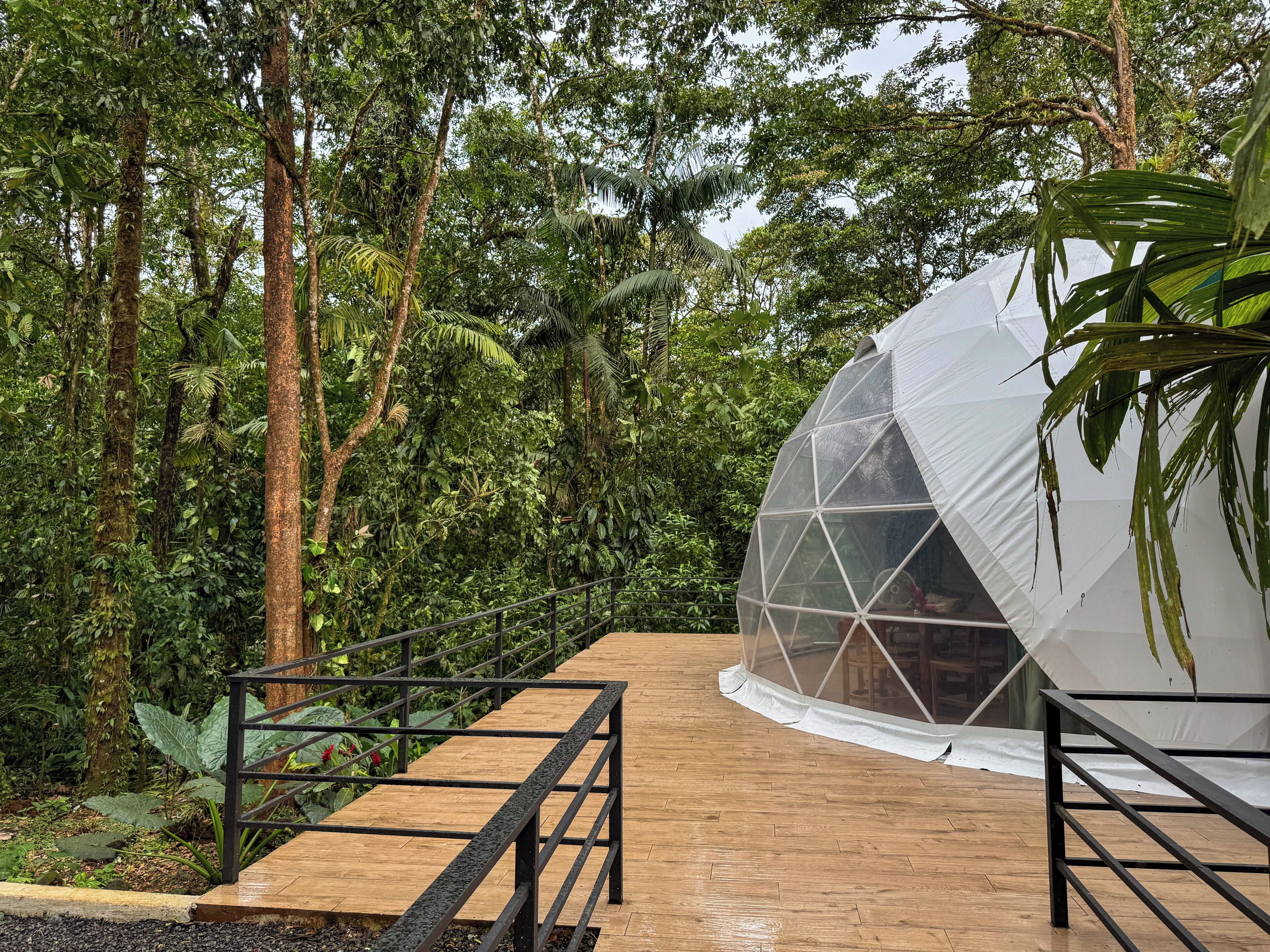 A wooden pathway leading to a geodesic dome structure surrounded by dense tropical foliage.