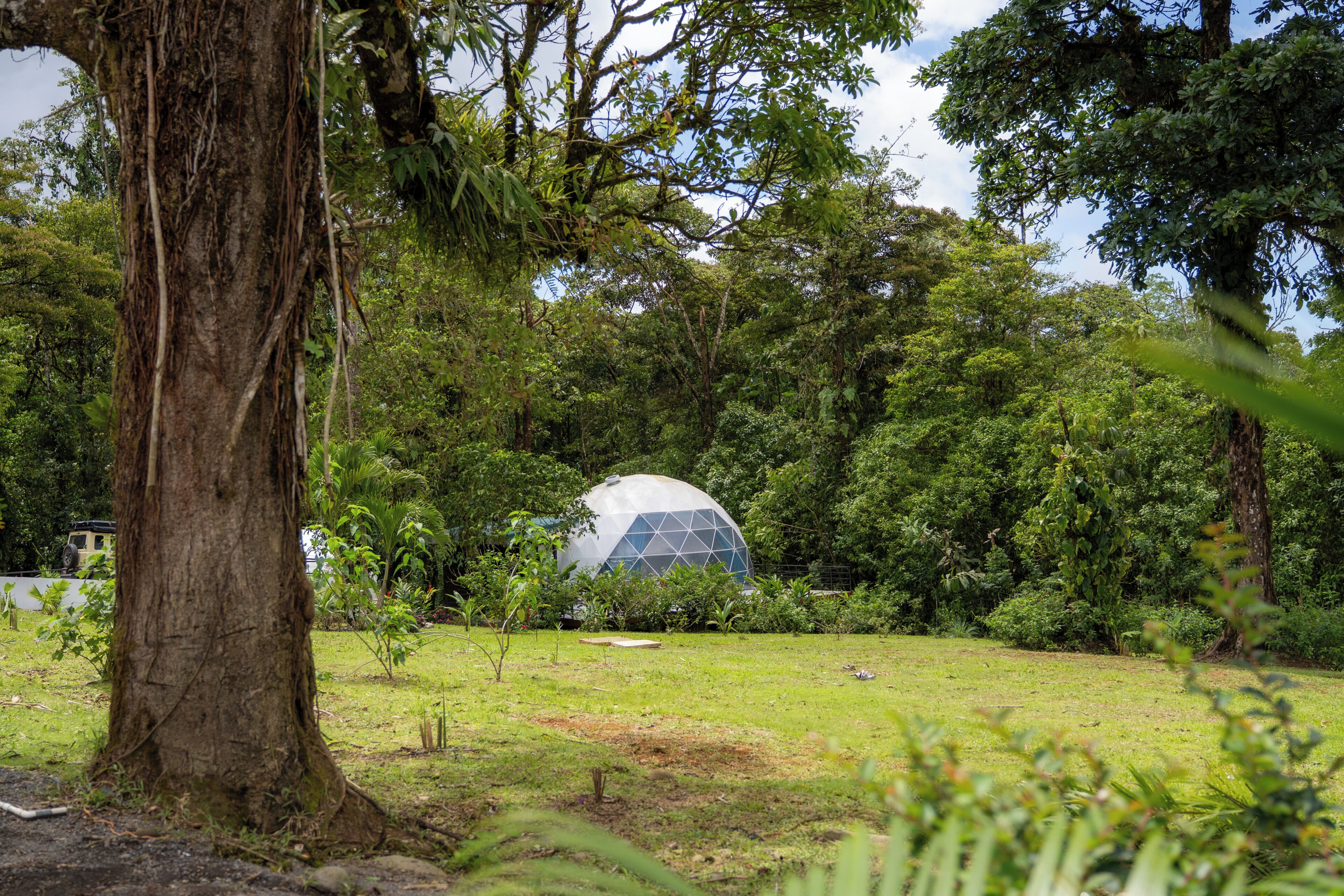 A dome-shaped structure surrounded by lush greenery and trees.