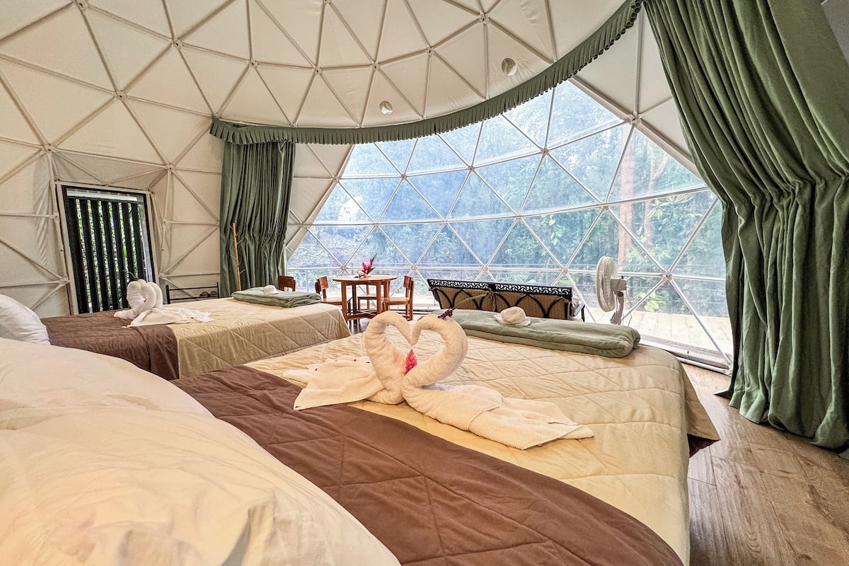 Family Tent, Multiple Beds, Garden View