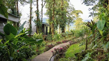 A pathway through a lush garden with various plants and trees, leading to a building with a green roof.