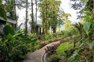 Un sendero serpentea por un exuberante jardín, lleno de plantas y árboles, y conduce a un edificio con techo verde.