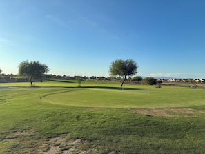 A golf course with a clear sky, two prominent trees, and a distant view of houses.