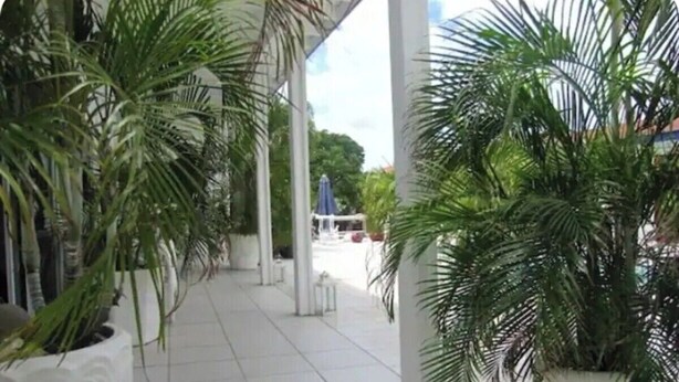 A covered walkway with potted palm plants, white columns, and a tiled floor. - Group Accommodation WEAVING MILL ARUBA (Oranjestad)