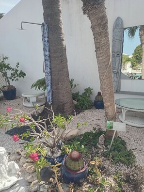 Um jardim com palmeiras, um cacto e uma pequena mesa.