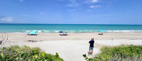 Sun-loungers, beach towels