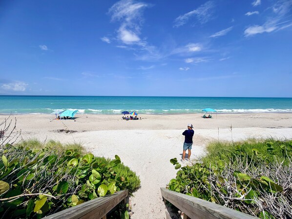 Sun-loungers, beach towels - Heated Pool/Spa (included), Theater, Game Room (Melbourne Beach)