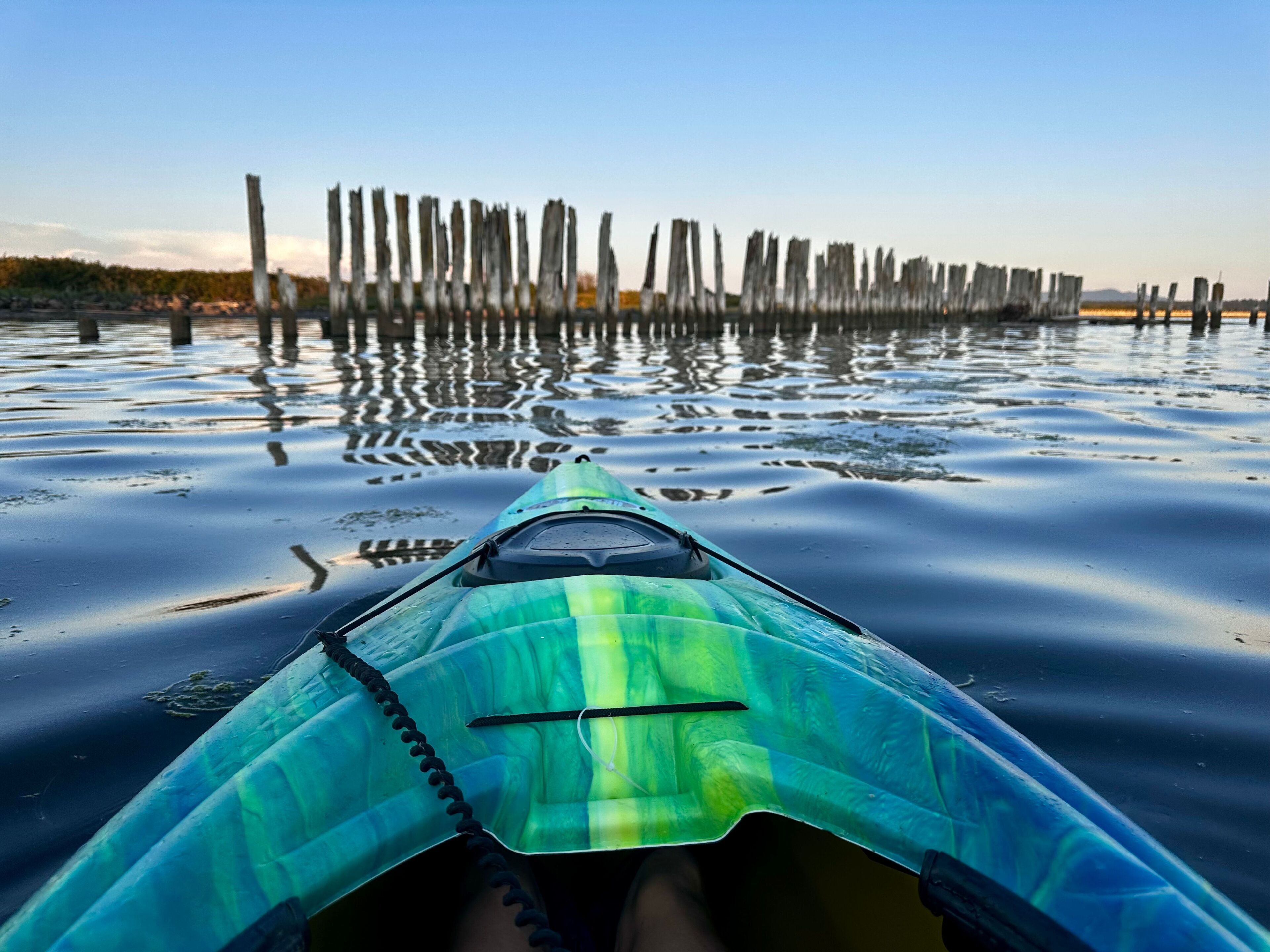 A kayak on calm water with a forested background.