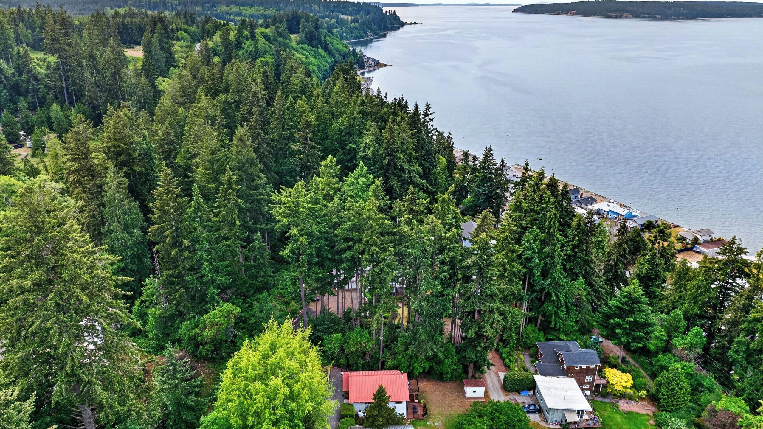 An aerial view of a forested area with a small cluster of buildings near a body of water.
