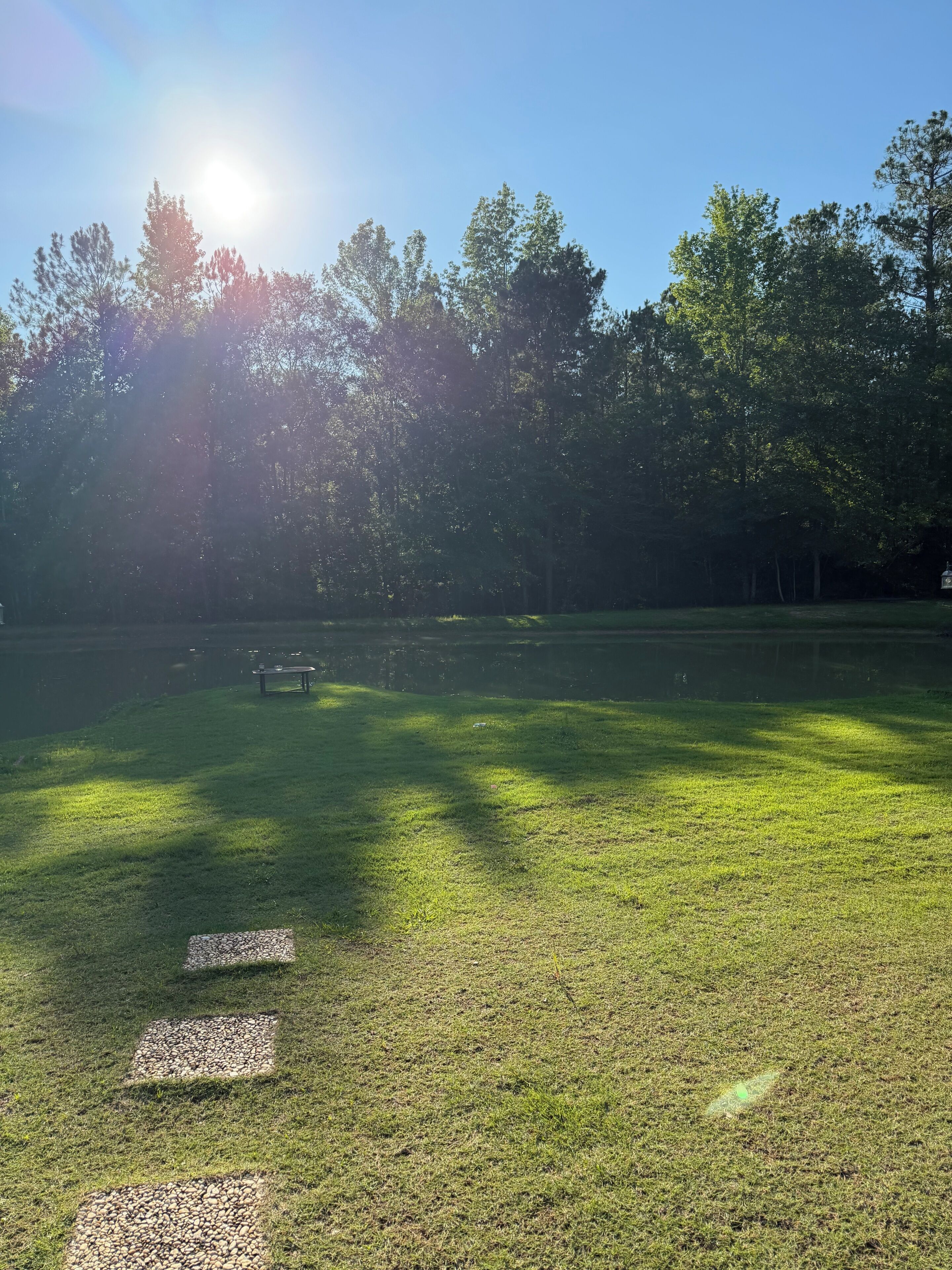 A grassy park area with a bench and a pathway.