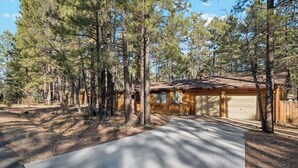 Une cabane avec un garage, entourée de grands pins.