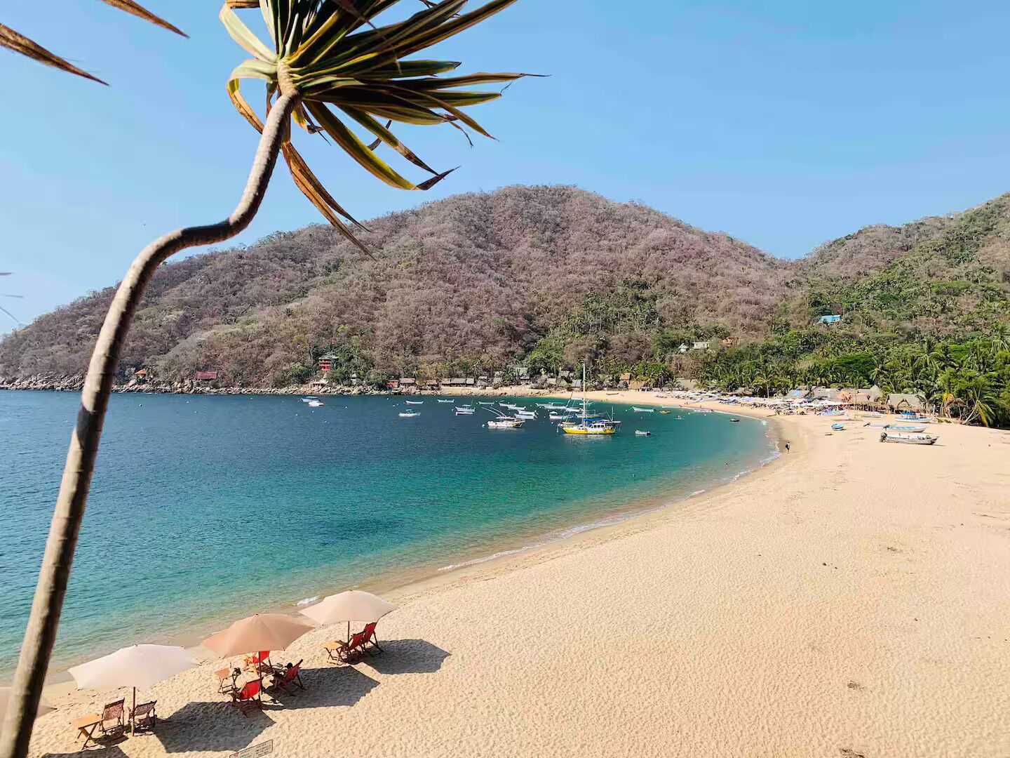 Playa