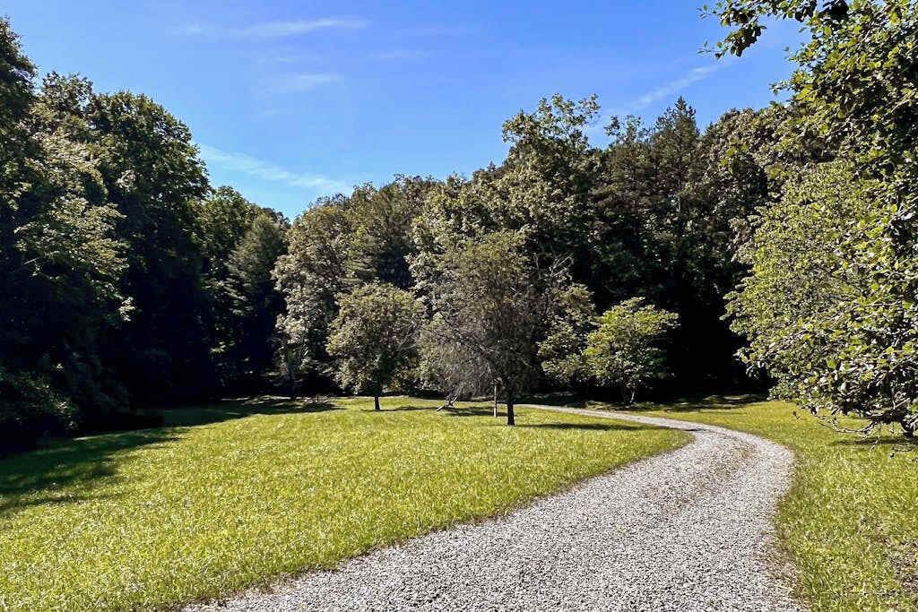 Un chemin de gravier dans un parc, bordé d’arbres et d’herbe.