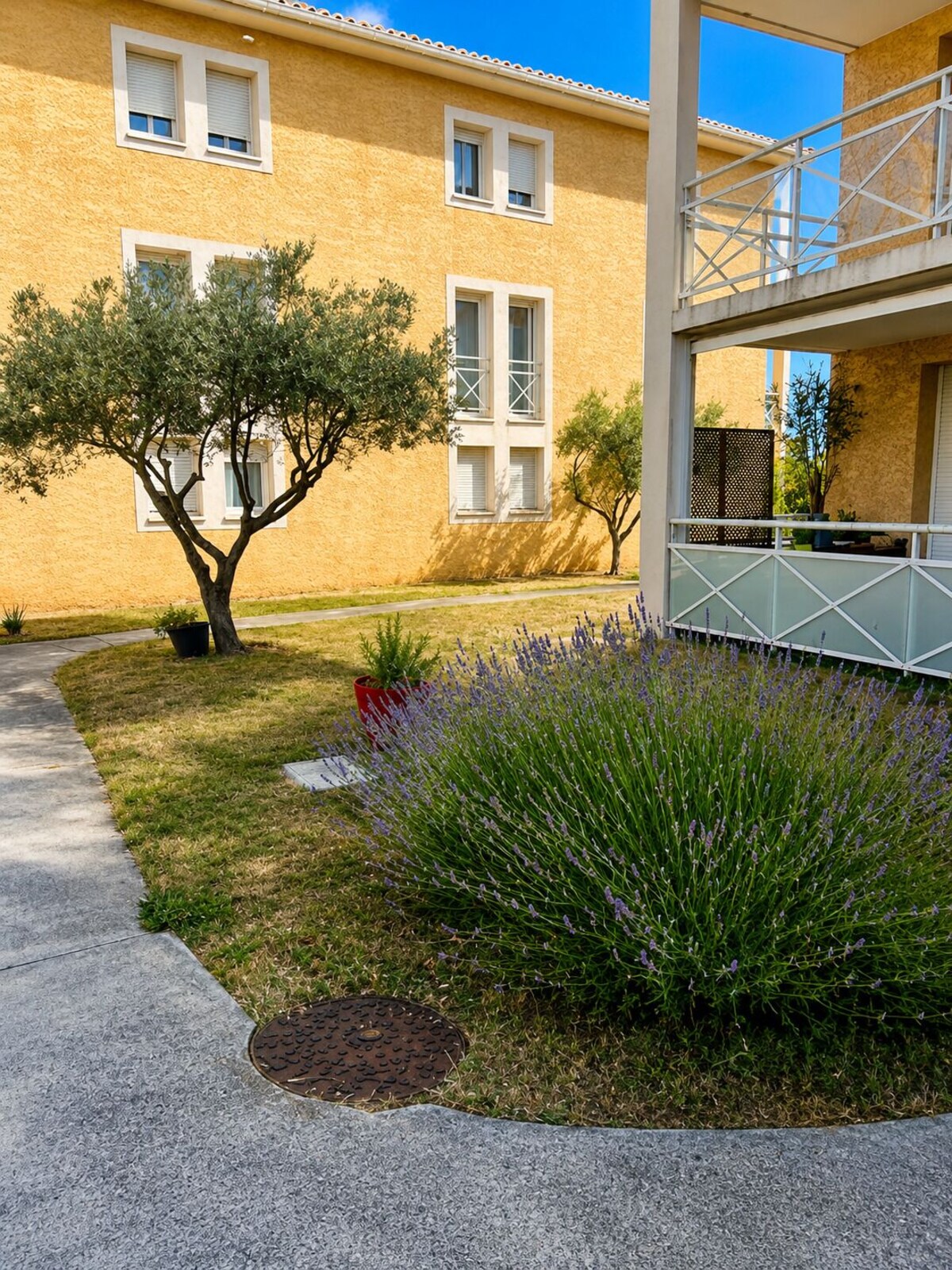 Image de profil de l’hôte