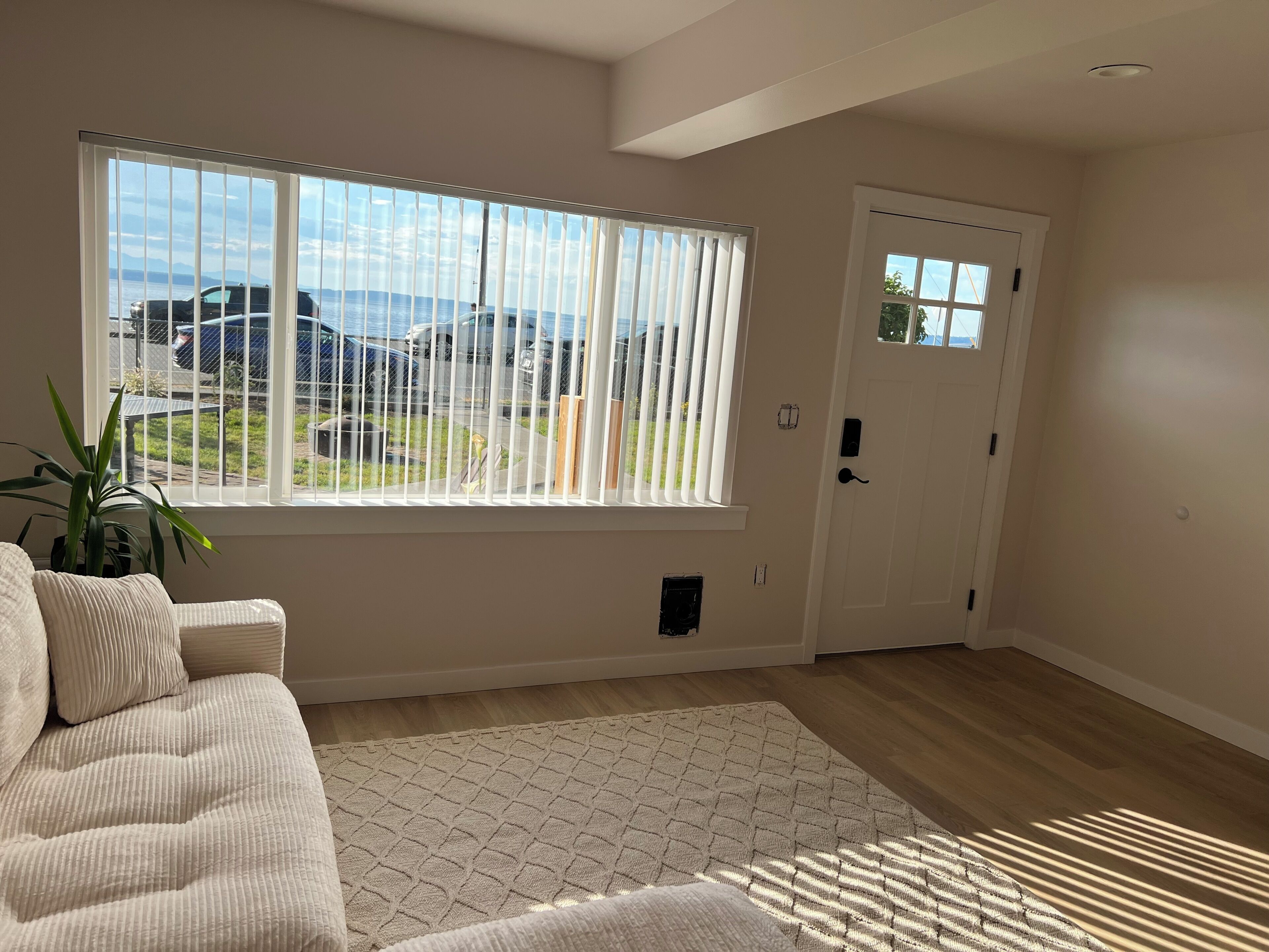A room with a large window, a door, a white textured rug, and a plant.