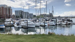 En lystbådehavn med flere både i havnen, en græsplæne i forgrunden og bygninger i baggrunden.