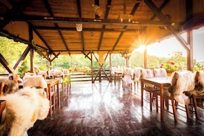 BBQ/picnic area - Pensiunea La Maria lu' Sandoiu (Bumbesti-Pitic)