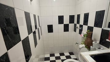 Regadera, toallas, jabón, shampoo