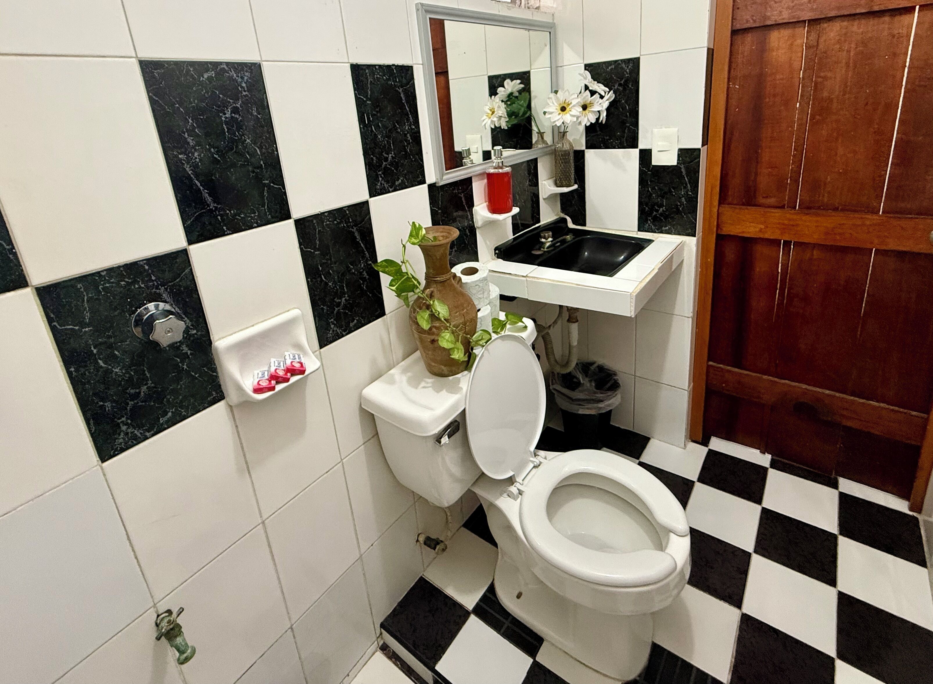 Regadera, toallas, jabón, shampoo 