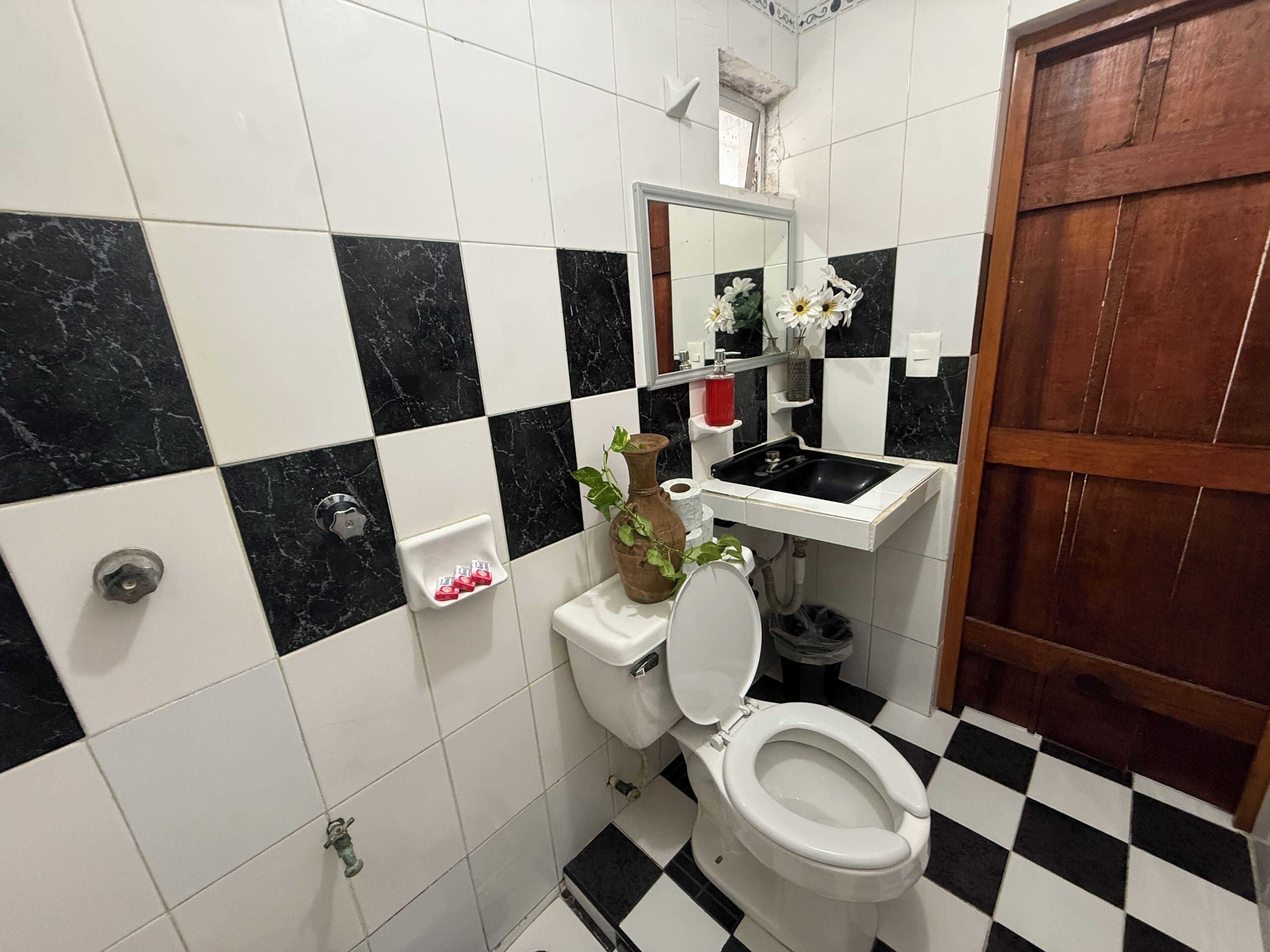 A bathroom with a black and white checkered floor, a white toilet, a sink, and a mirror above the sink.