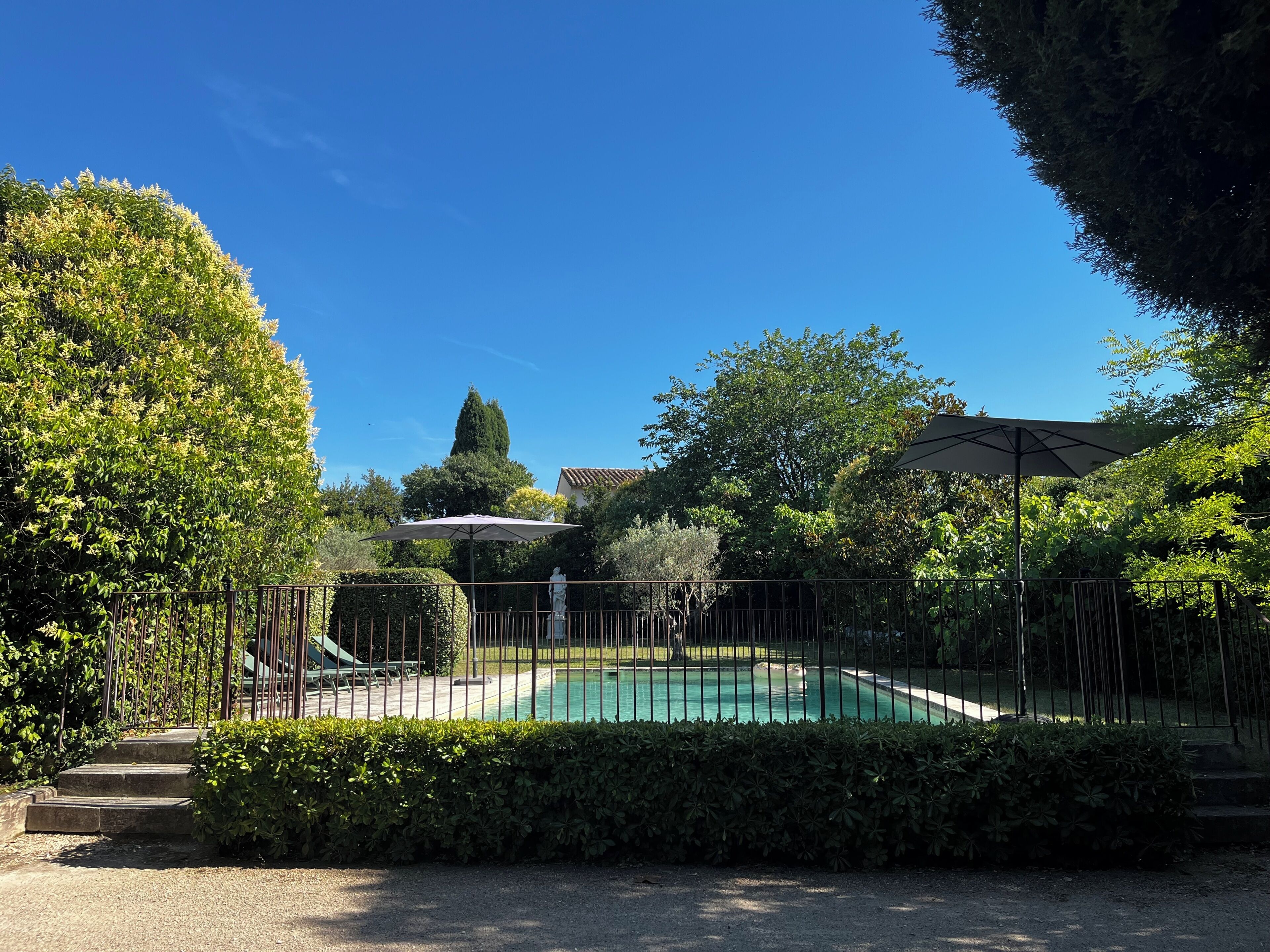 Piscina cercada con escalones de acceso, rodeada de follaje y un cielo azul despejado.