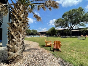 A grassy outdoor area with a palm tree, two Adirondack chairs, and a building in the background. - Sleepover | Alluring Studio + Gym - Austin TX (Austin)