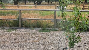 A gravel area with a metal fence, trees, and a rainbow in the background. - Breathtaking views surrounding this home, perfect for a relaxing getaway! (Cody)