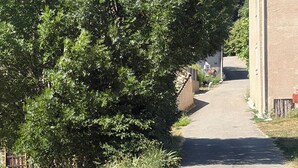 A narrow paved road flanked by dense green foliage and a building with a red-tiled roof. - Getaway in the Baronnies: House with a Terrace (Chaudebonne)
