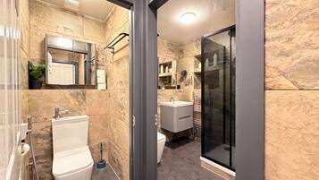 Shower, hair dryer, bidet, towels