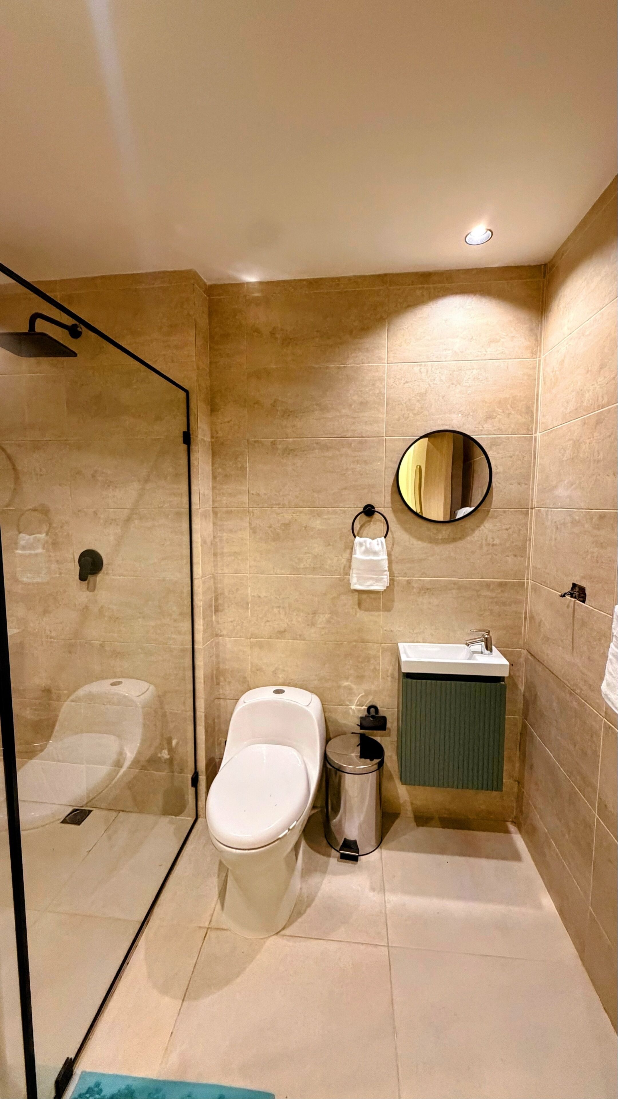 A modern bathroom with a glass-enclosed shower, a toilet, a sink, and a mirror.