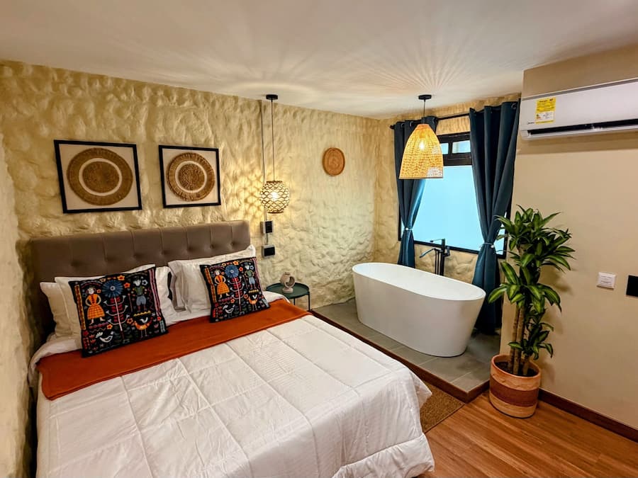 Un dormitorio con cama, mesita de noche, aire acondicionado instalado en la pared, planta en maceta y un baño con bañera.