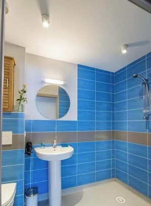 Shower, hair dryer - Le Tilleul - LA LECHERE (LA LECHERE)