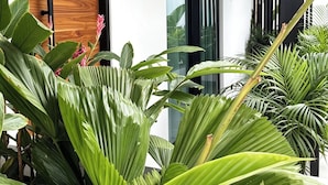 A modern building with a wooden door, a glass door, and a black vertical structure. - NOAM by the sea Ocean View Suite #4 Adults Only (Tamarindo)