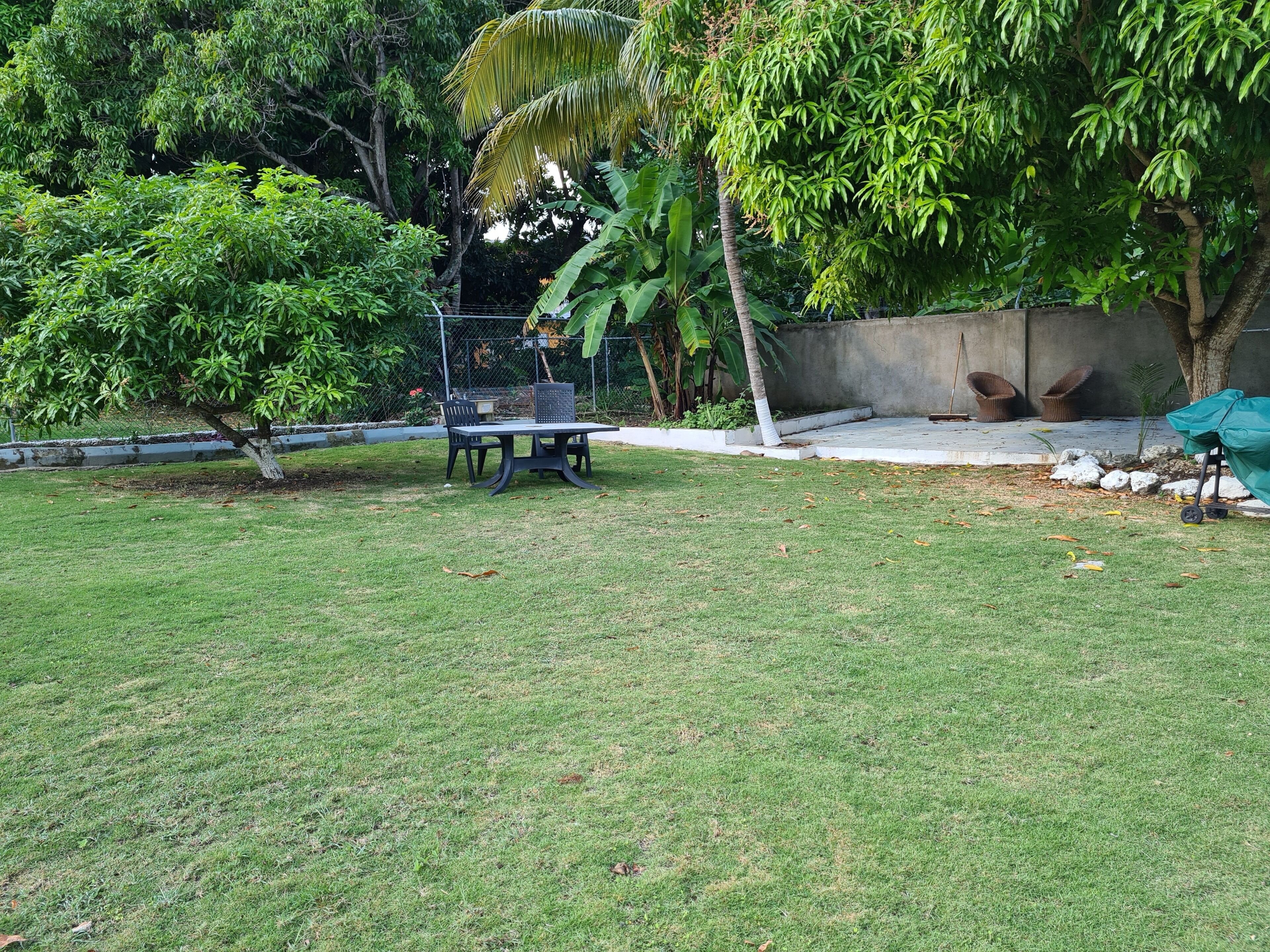 Terraza o patio
