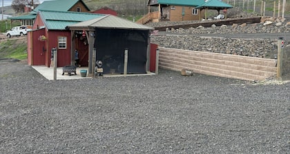 Bear Country Tiny House in Lenore on the river