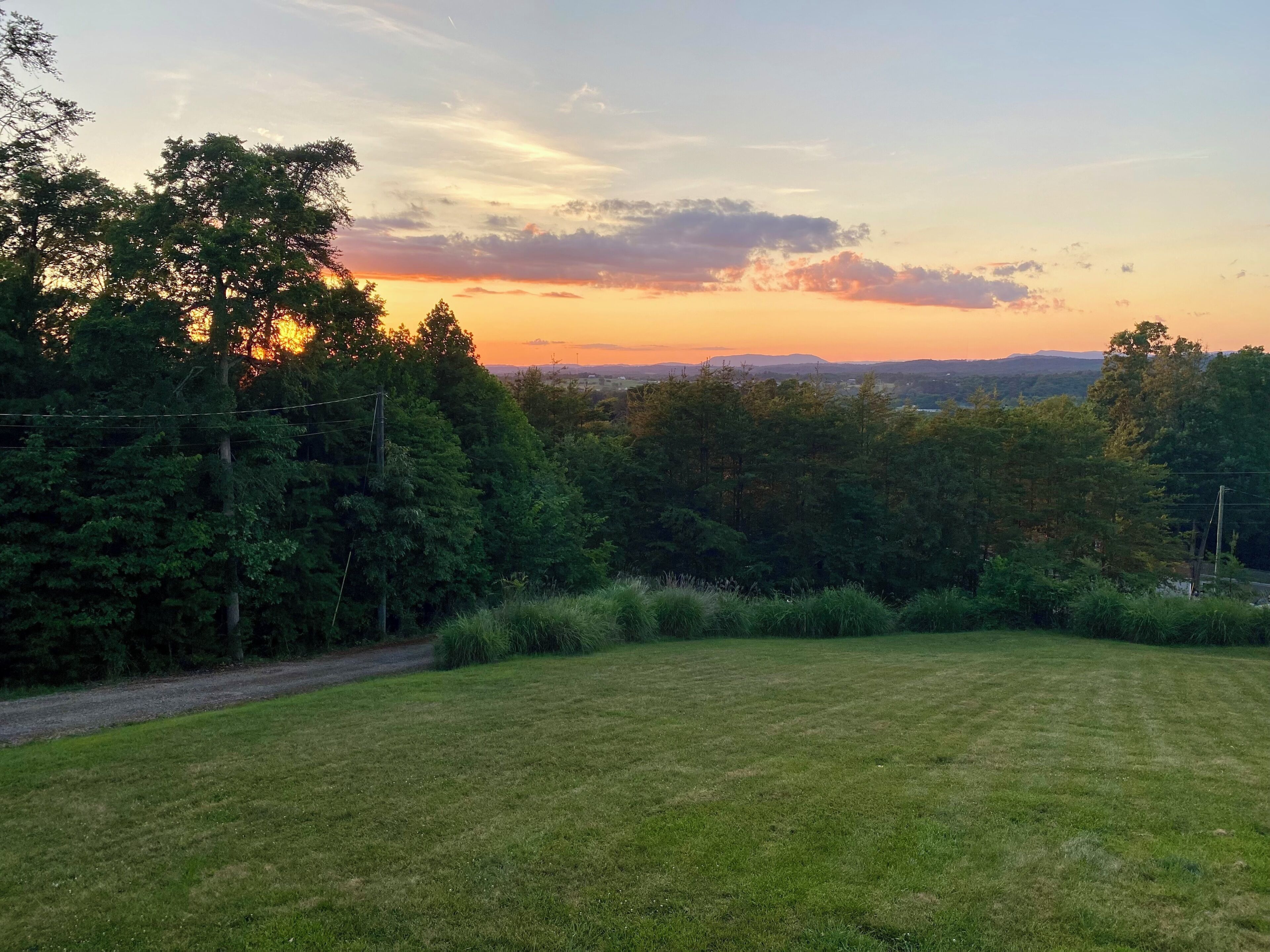 Ein grasbewachsenes Feld mit Bäumen und einem Sonnenuntergang im Hintergrund.